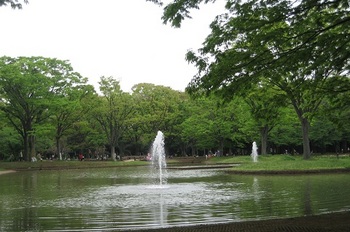 Yoyogi Park.jpg